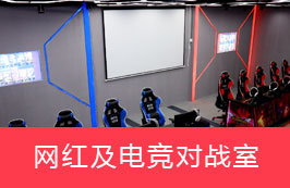网红及电竞对战室