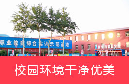 校园环境干净优美